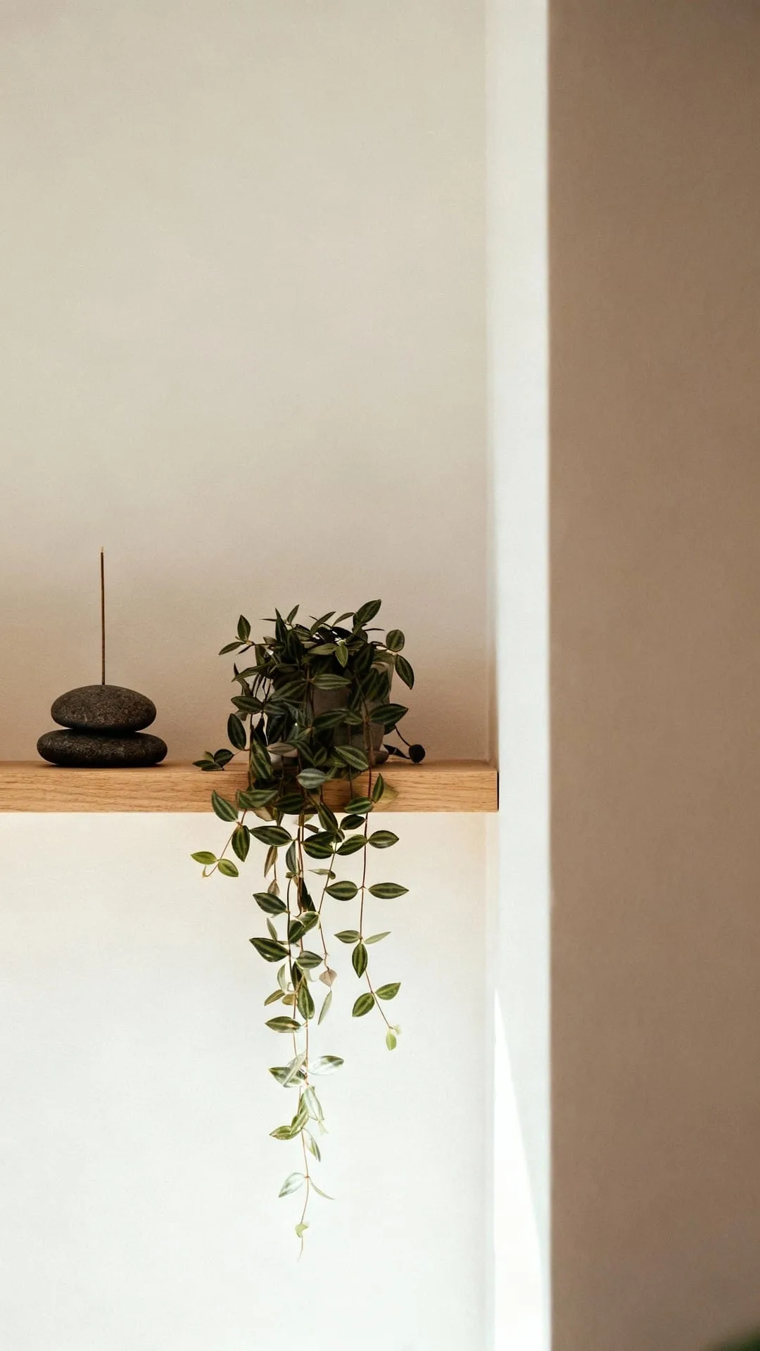 A single plant beside one stone on a calm, minimal shelf