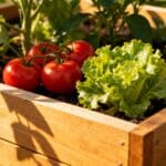 10 Simple Home Garden Ideas for Beginners to Try Now