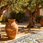 Mediterranean Garden Decor: Create a Sun-Drenched Outdoor Style