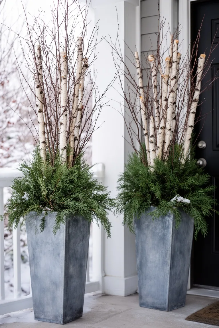 Two matching tall winter planters flanking a porch entry with juniper, dogwood and birch poles
