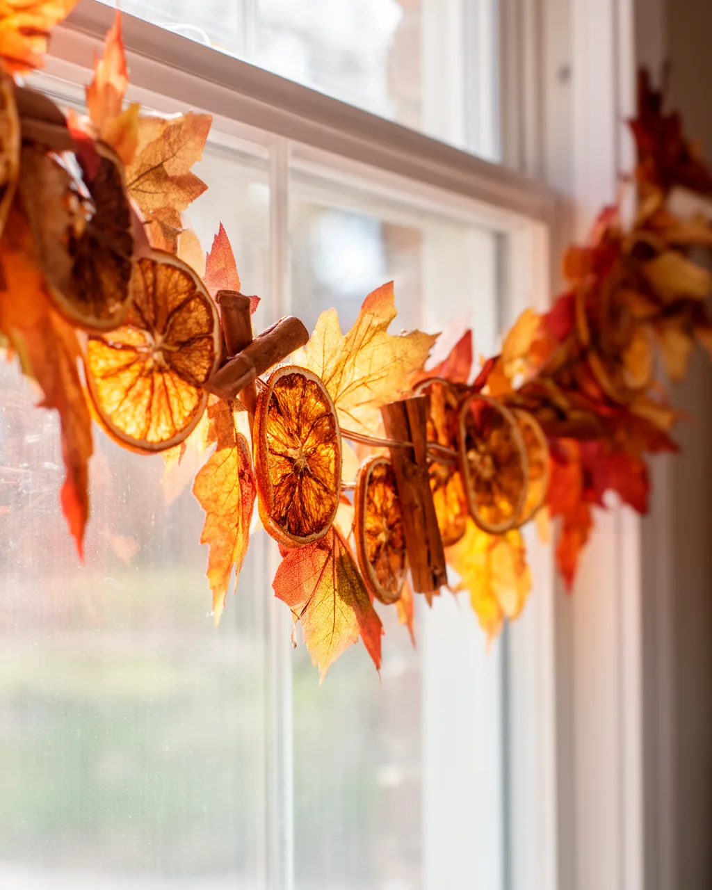 Dried orange and cinnamon fall garland by a window