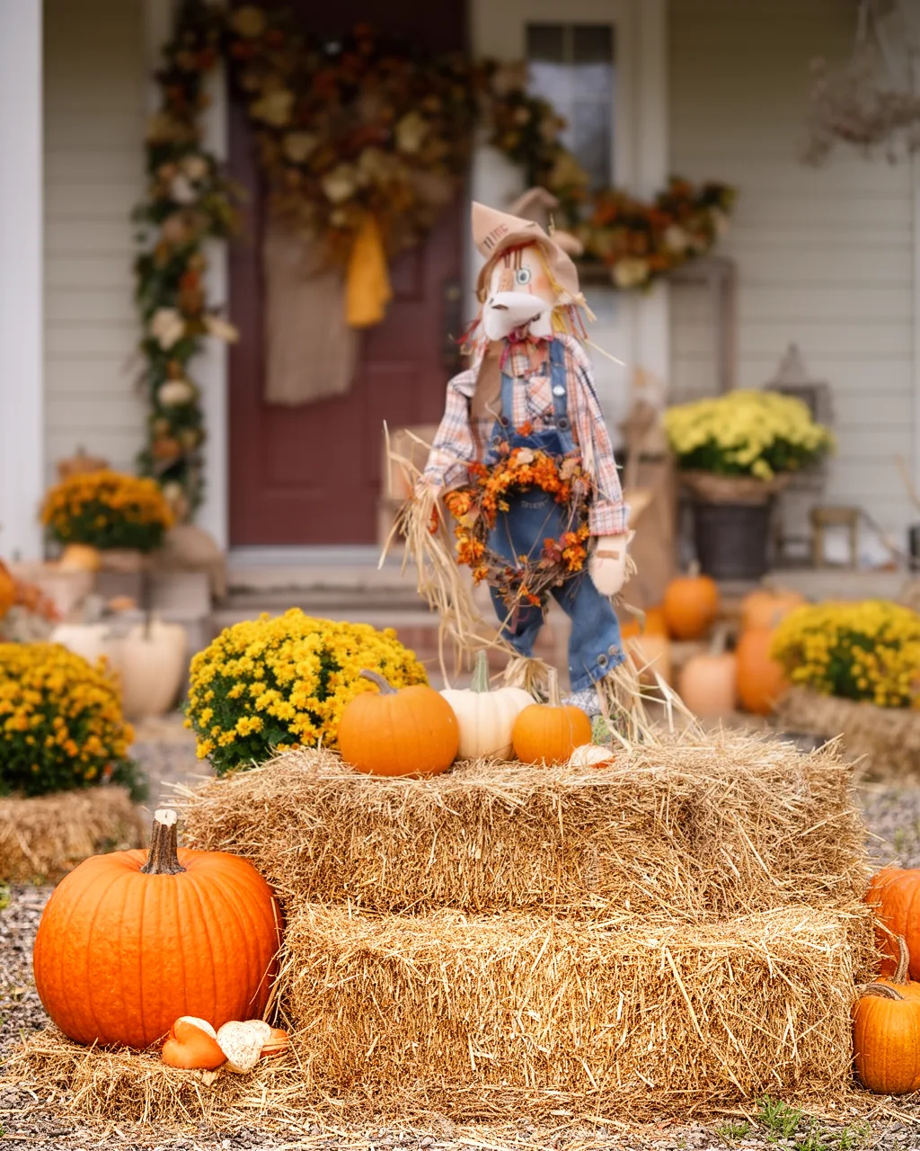 Yard styled around a scarecrow