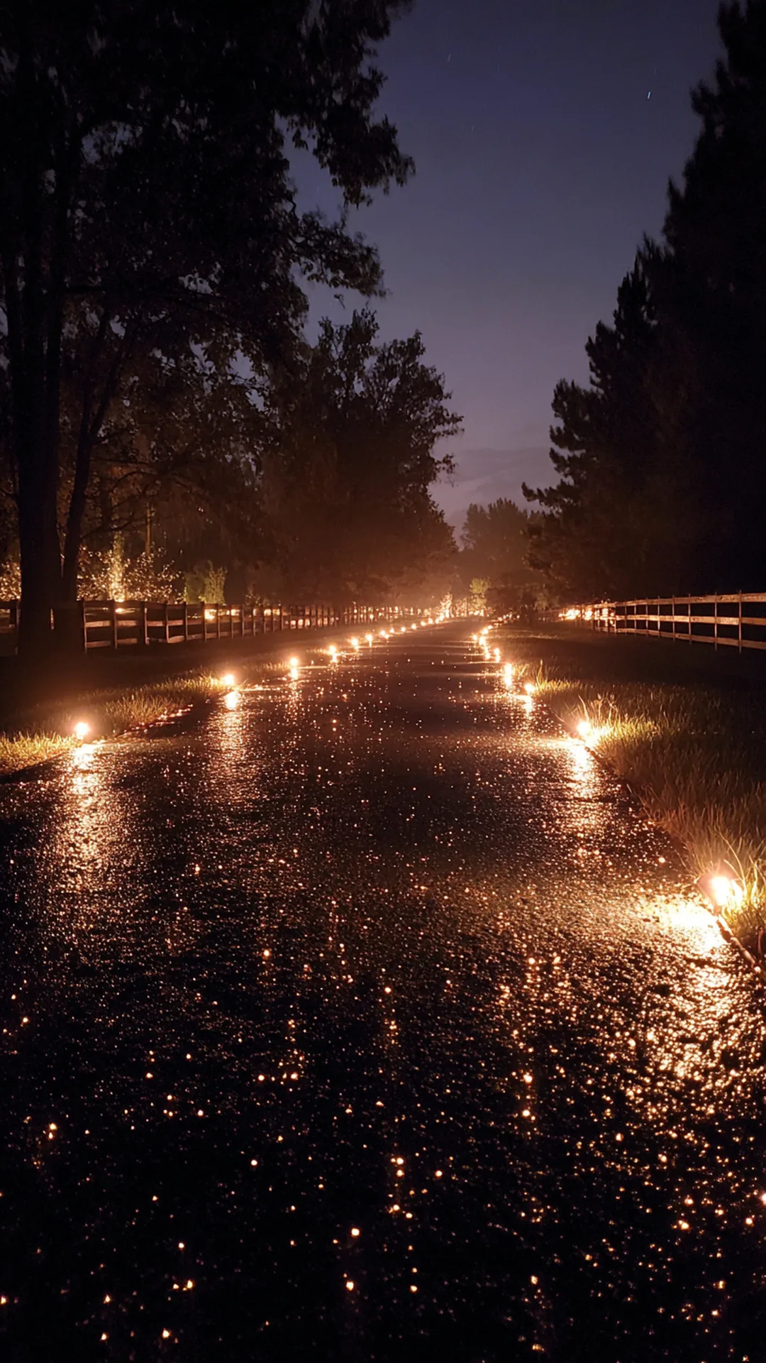 solar stake lights marking a long dark gravel driveway — photo 1 of 2