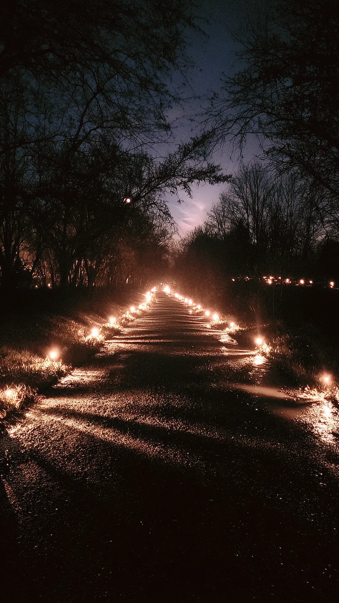 solar stake lights marking a long dark gravel driveway — photo 2 of 2