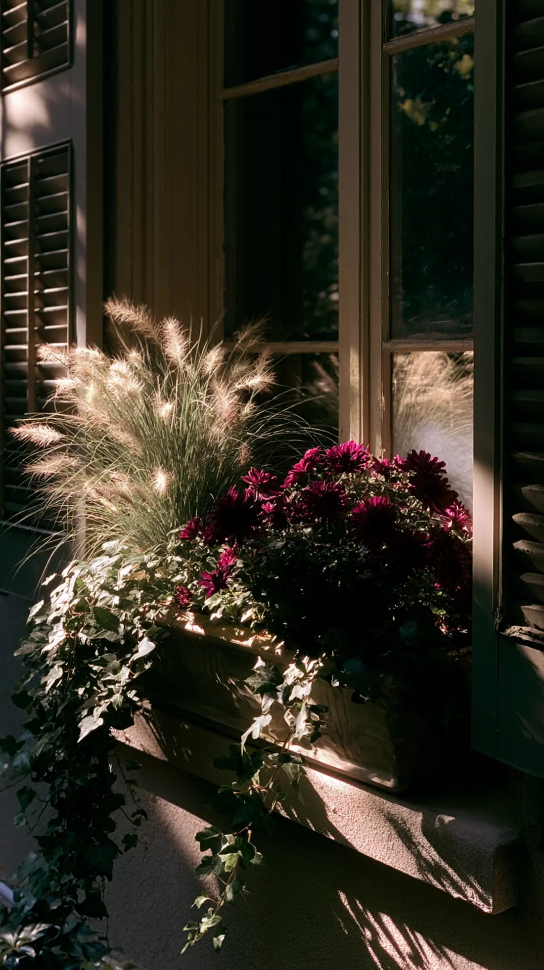 A window box planted with ornamental grasses and mums in fall colors, photo 2 of 4