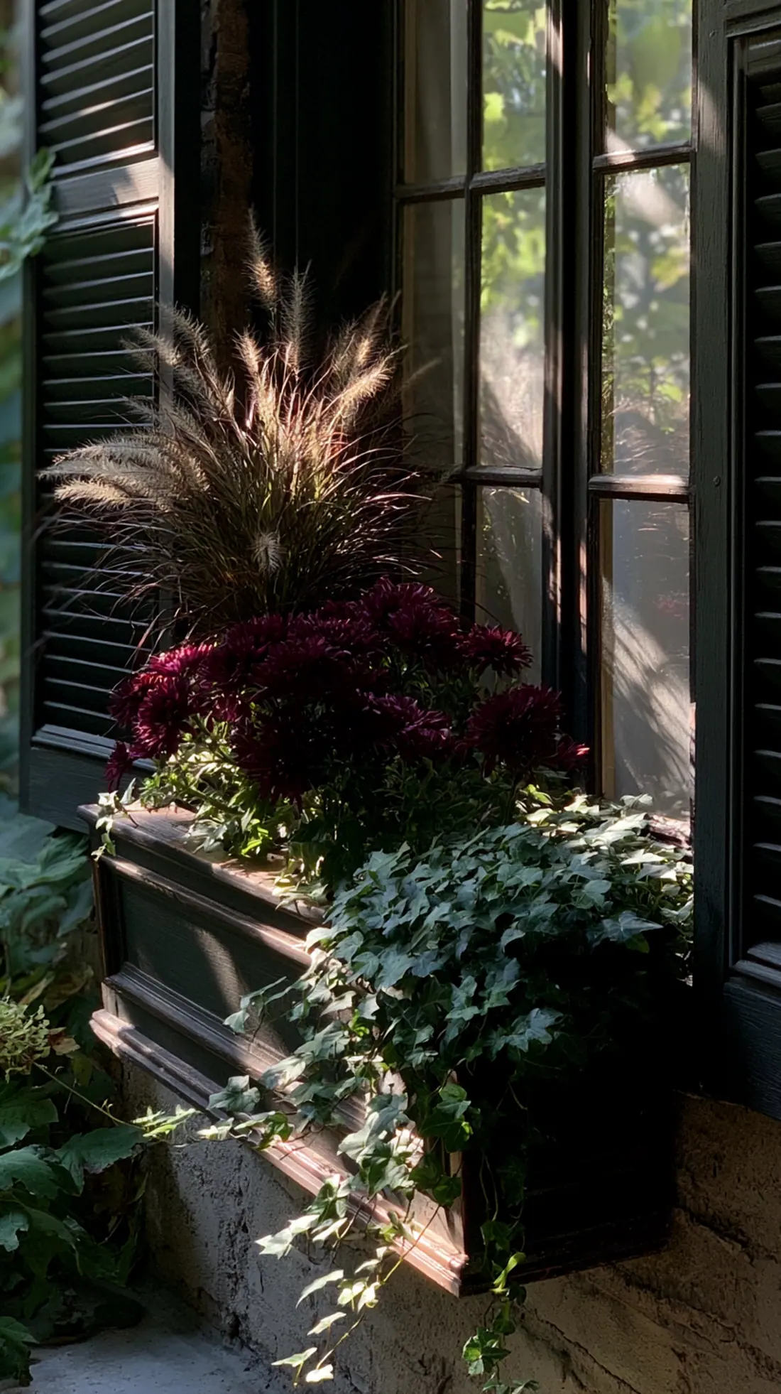A window box planted with ornamental grasses and mums in fall colors, photo 3 of 4