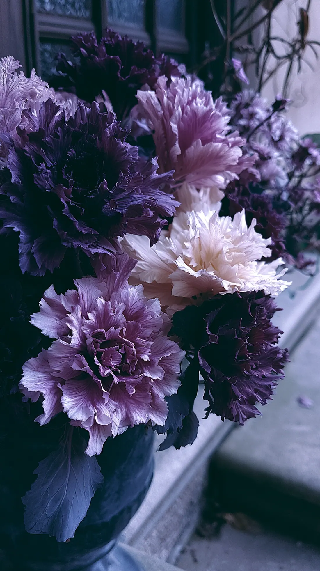 A planter filled with ruffled ornamental kale and cabbage in fall colors, photo 3 of 3