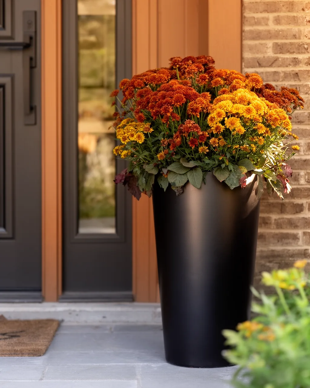 Modern black planter